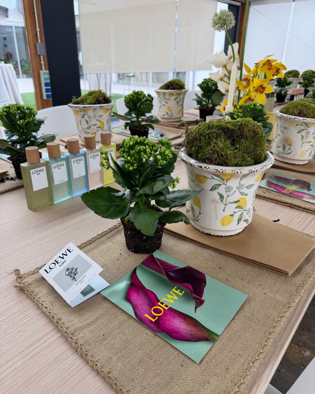 workshop loewe
